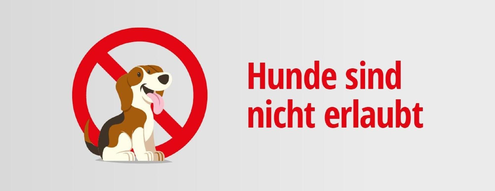 Pension Seecafe Zarrentin am Schaalsee Rum bild